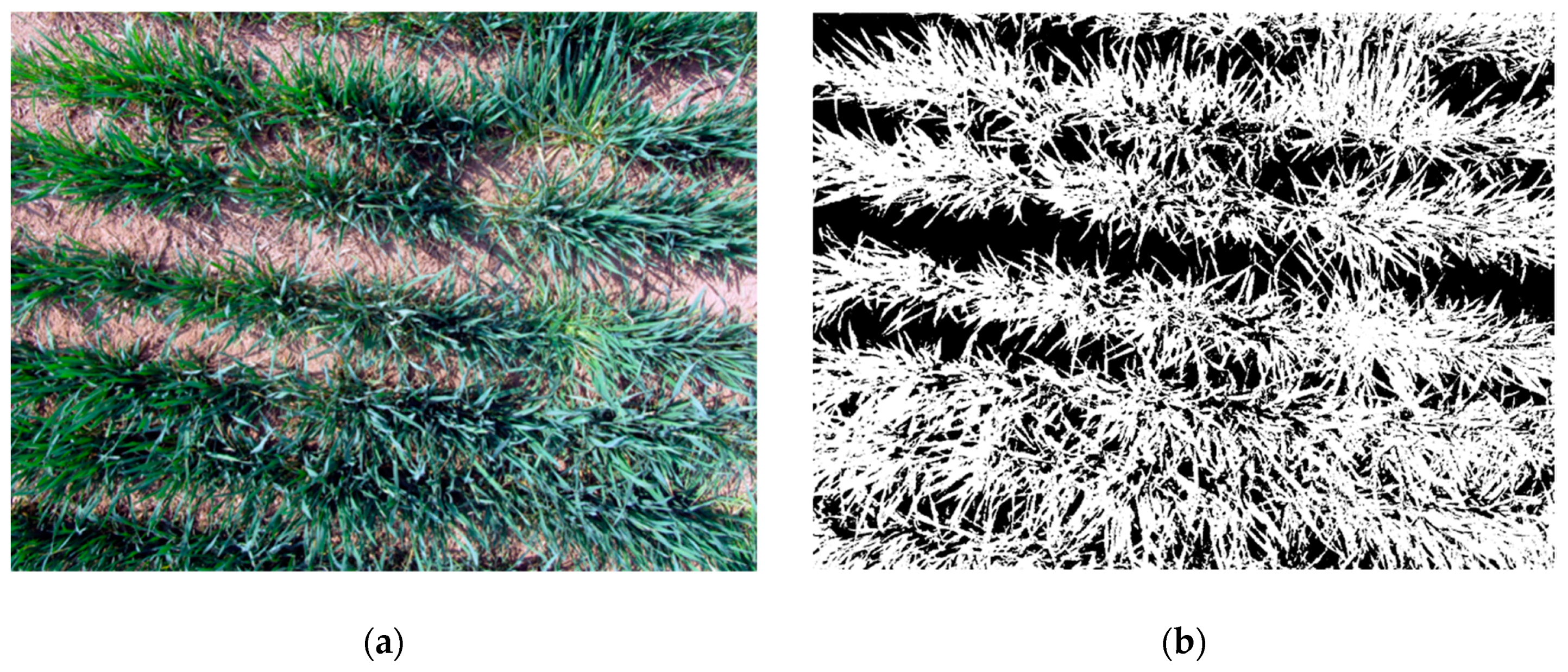 Remotesensing 11 02324 g002