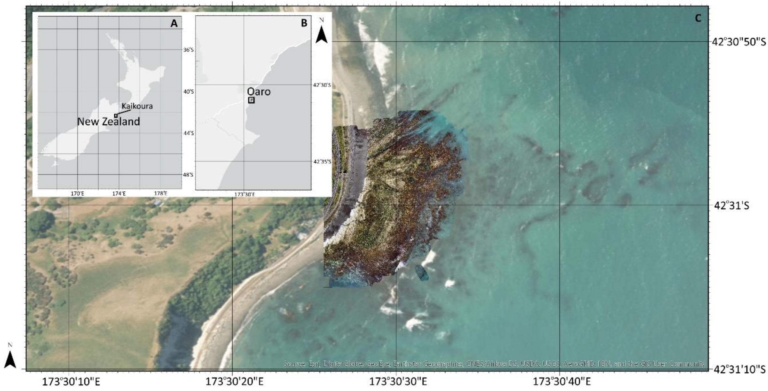 Remotesensing 11 02332 g001