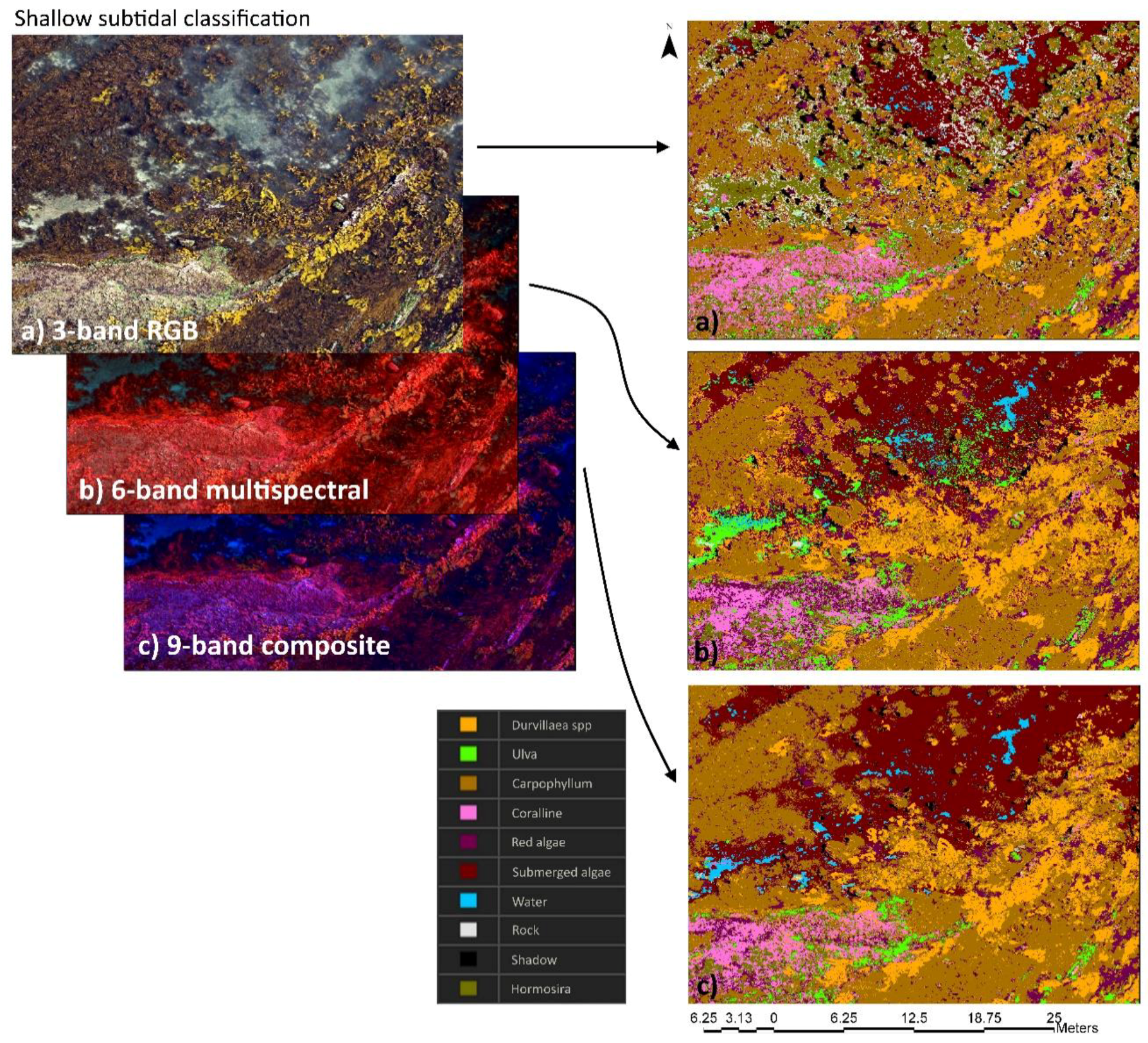 Remotesensing 11 02332 g007