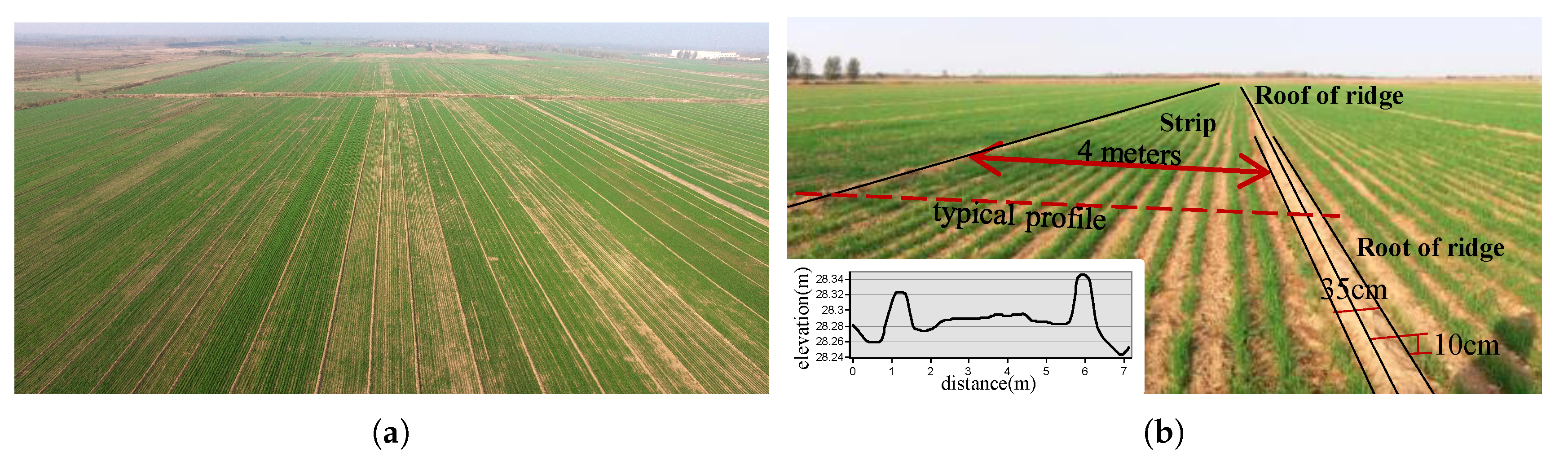 Remotesensing 11 02343 g001