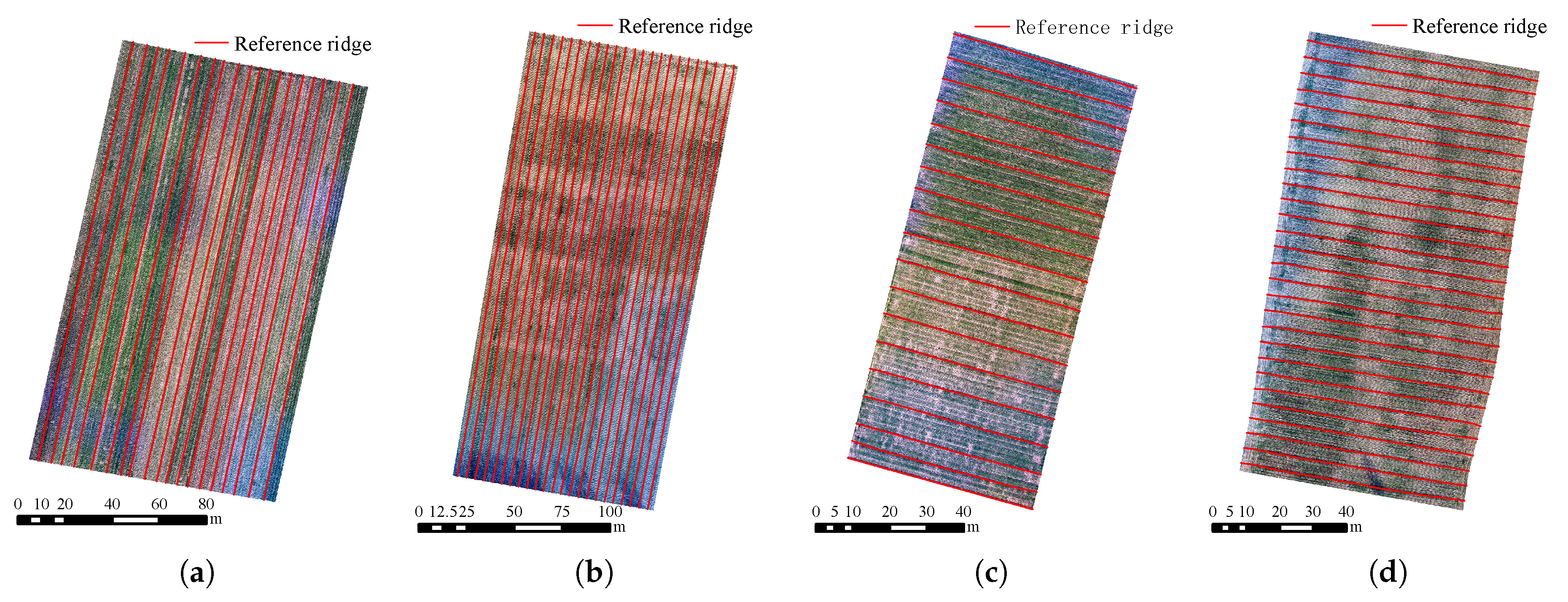Remotesensing 11 02343 g006
