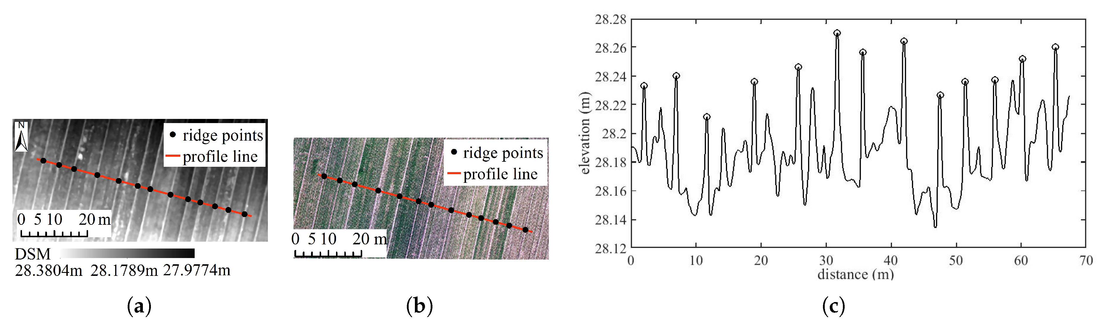 Remotesensing 11 02343 g007