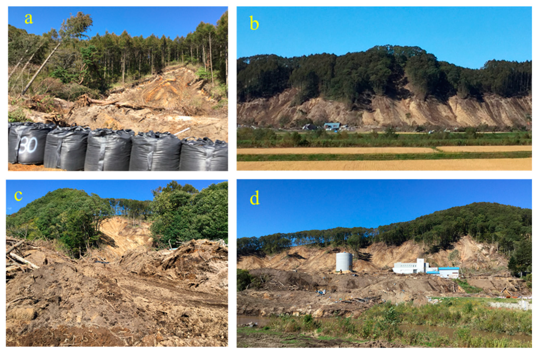 Remotesensing 11 02351 g002 Remotesensing 11 02351 g002