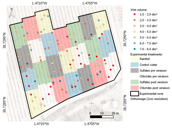 Remote Sensing Free Full Text Geometric Characterization Of Vines From 3d Point Clouds Obtained With Laser Scanner Systems Html Remote Sensing Free Full Text Geometric Characterization Of Vines From 3d Point Clouds Obtained With Laser Scanner Systems Html