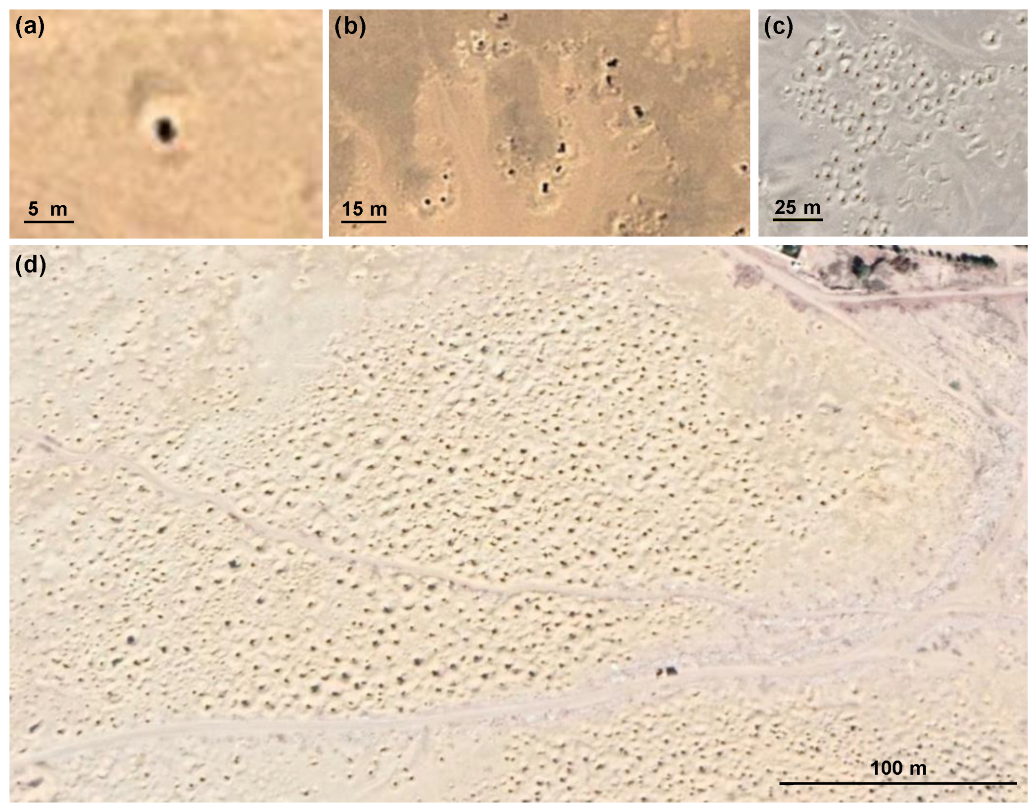 Remotesensing 11 02389 g006