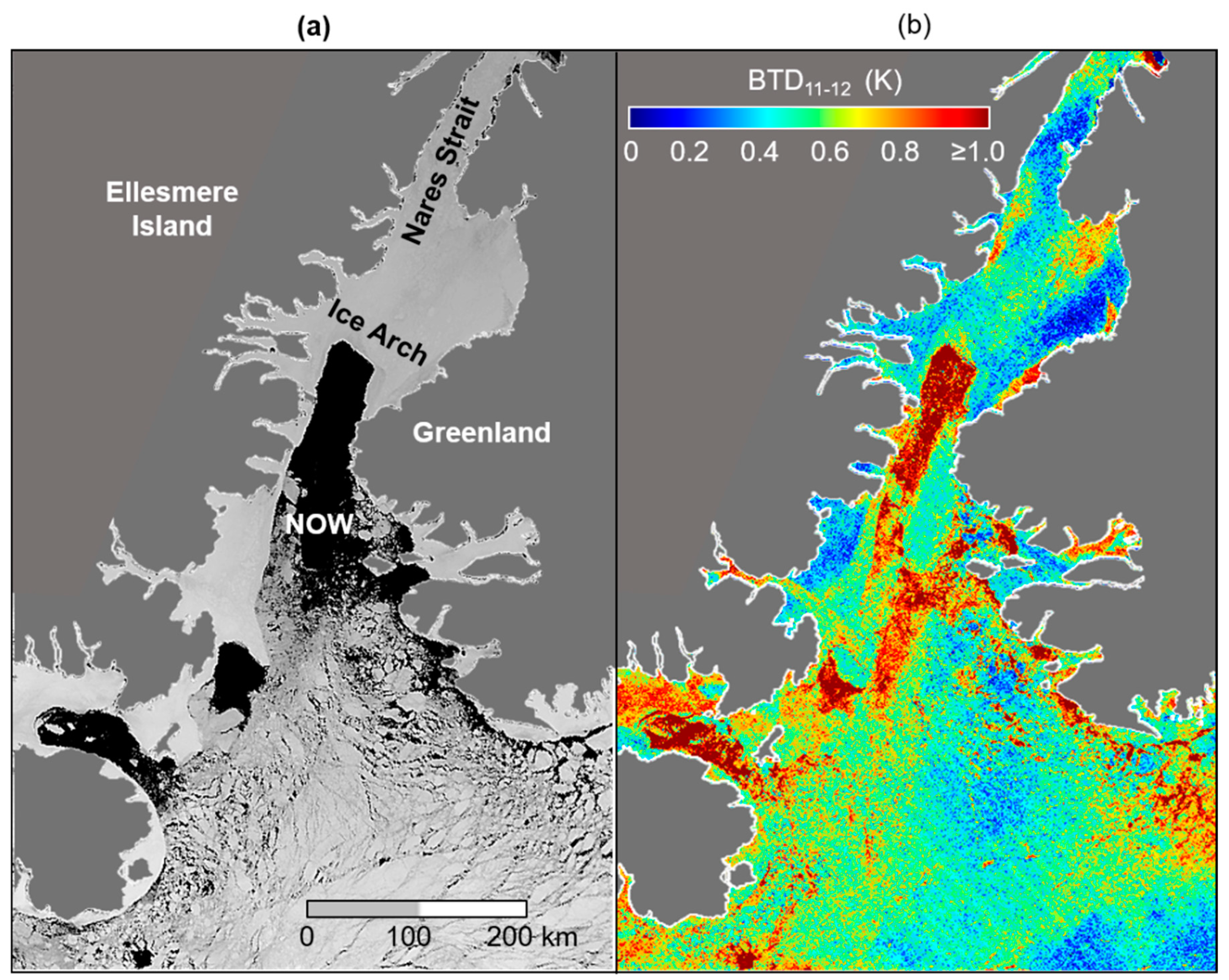 Remotesensing 11 02393 g002