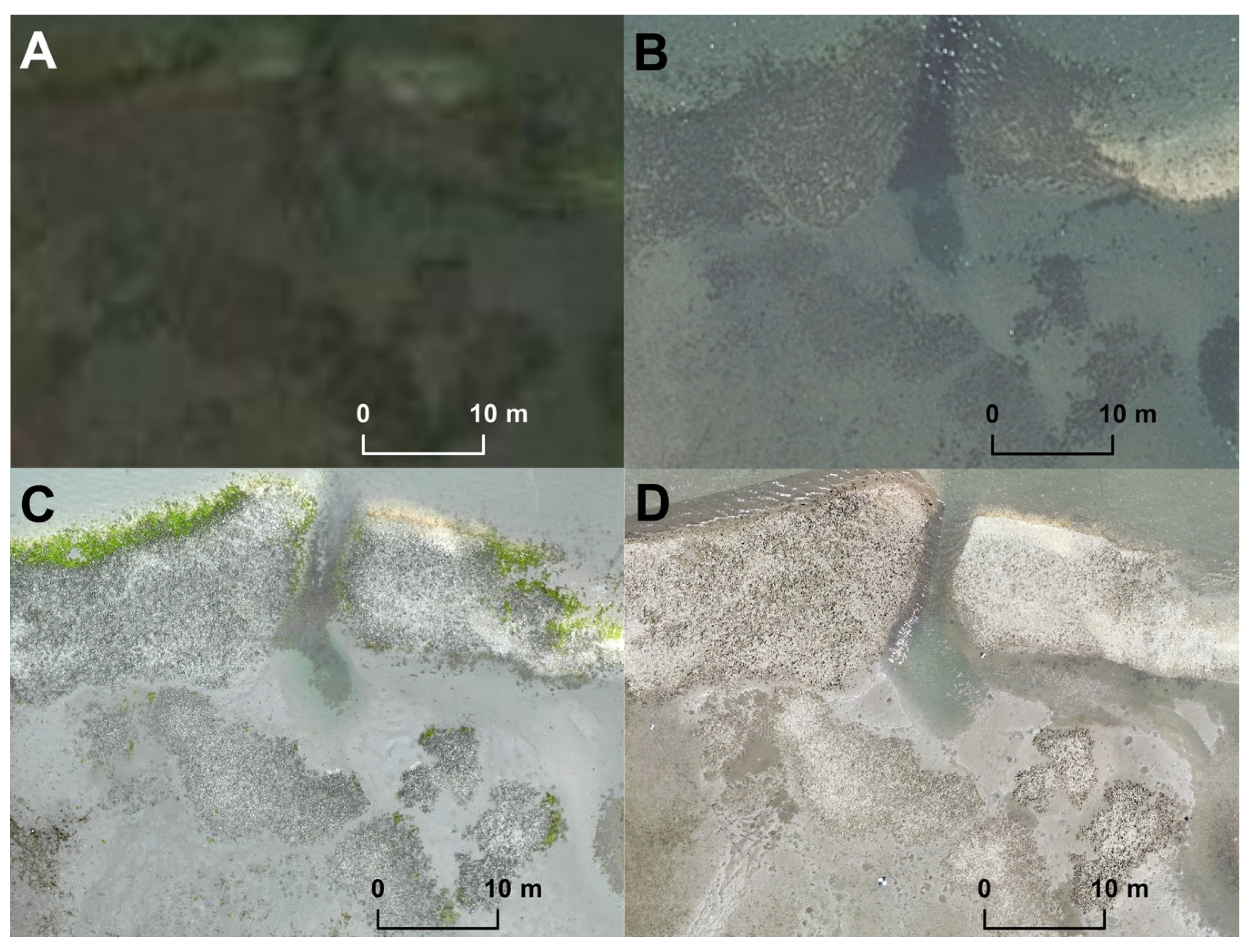 Remotesensing 11 02394 g001