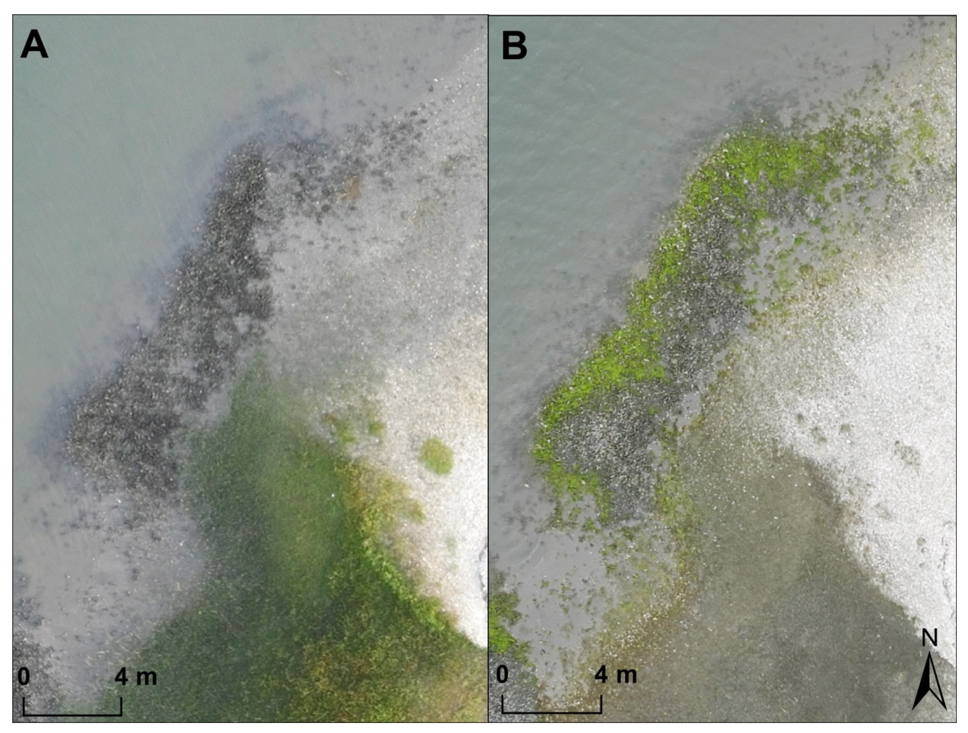 Remotesensing 11 02394 g007