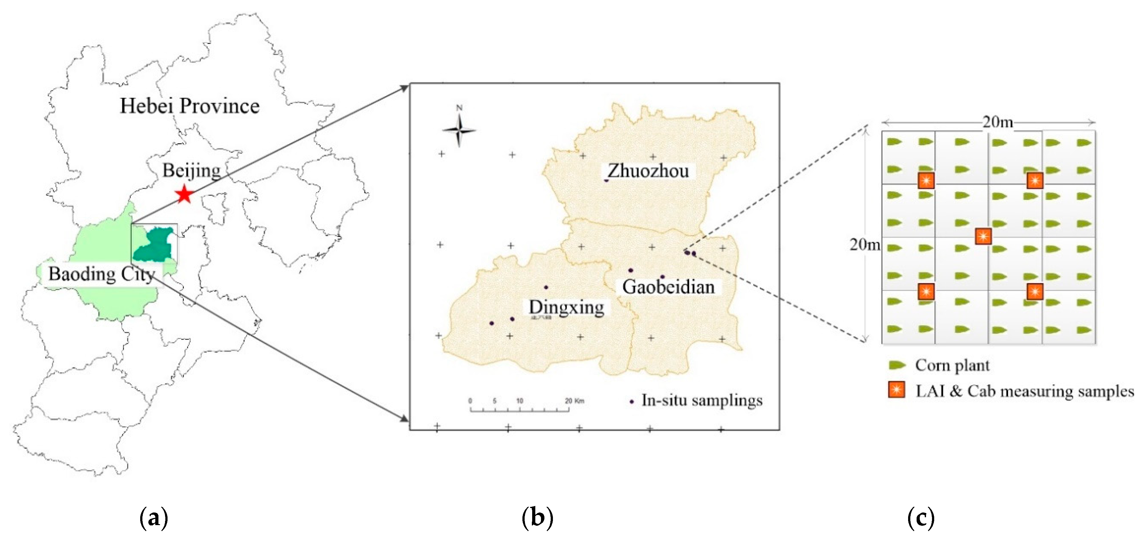 Remotesensing 11 02409 g001 Remotesensing 11 02409 g001