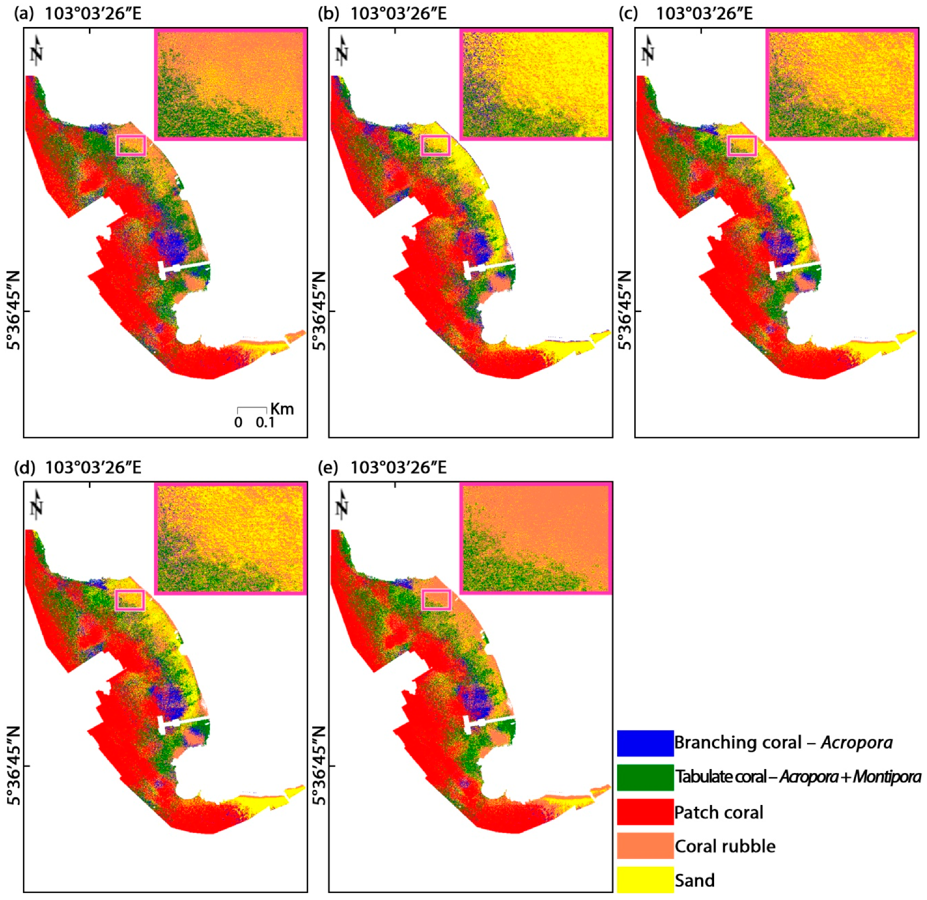 Coral Classification Chart