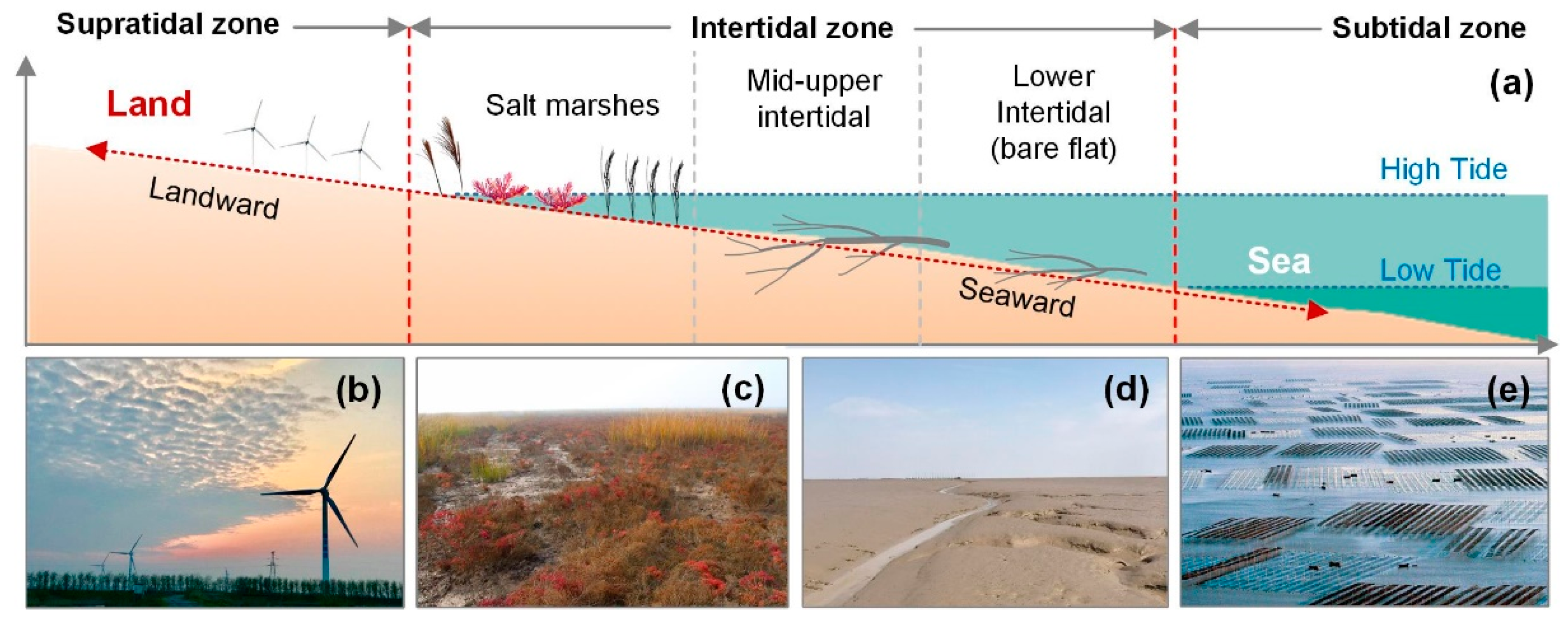 Remote Sensing Free Full Text Morphological Characteristics Of Tidal Creeks In The Central Coastal Region Of Jiangsu China Using Lidar Html