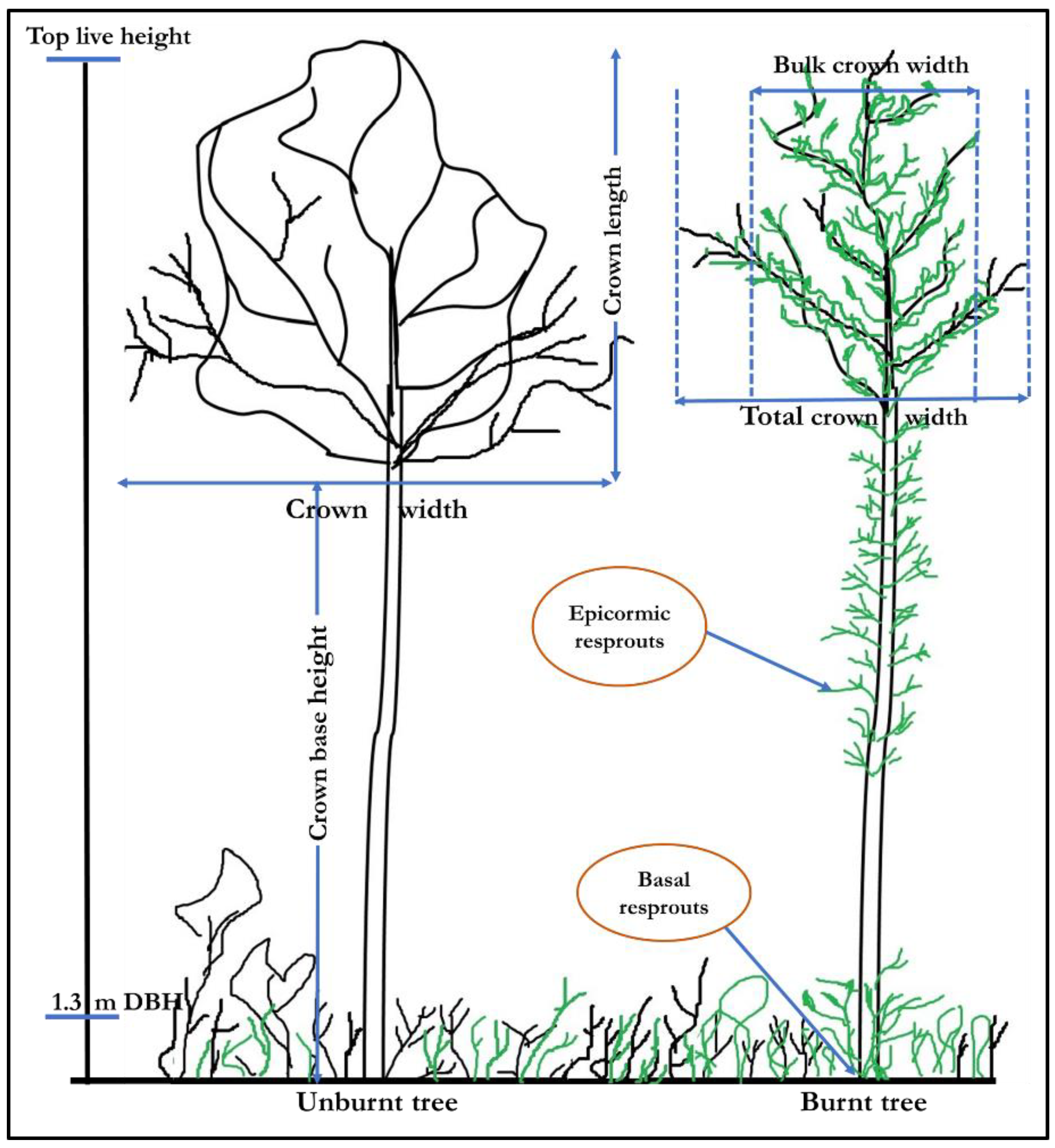 Remotesensing 11 02433 g002