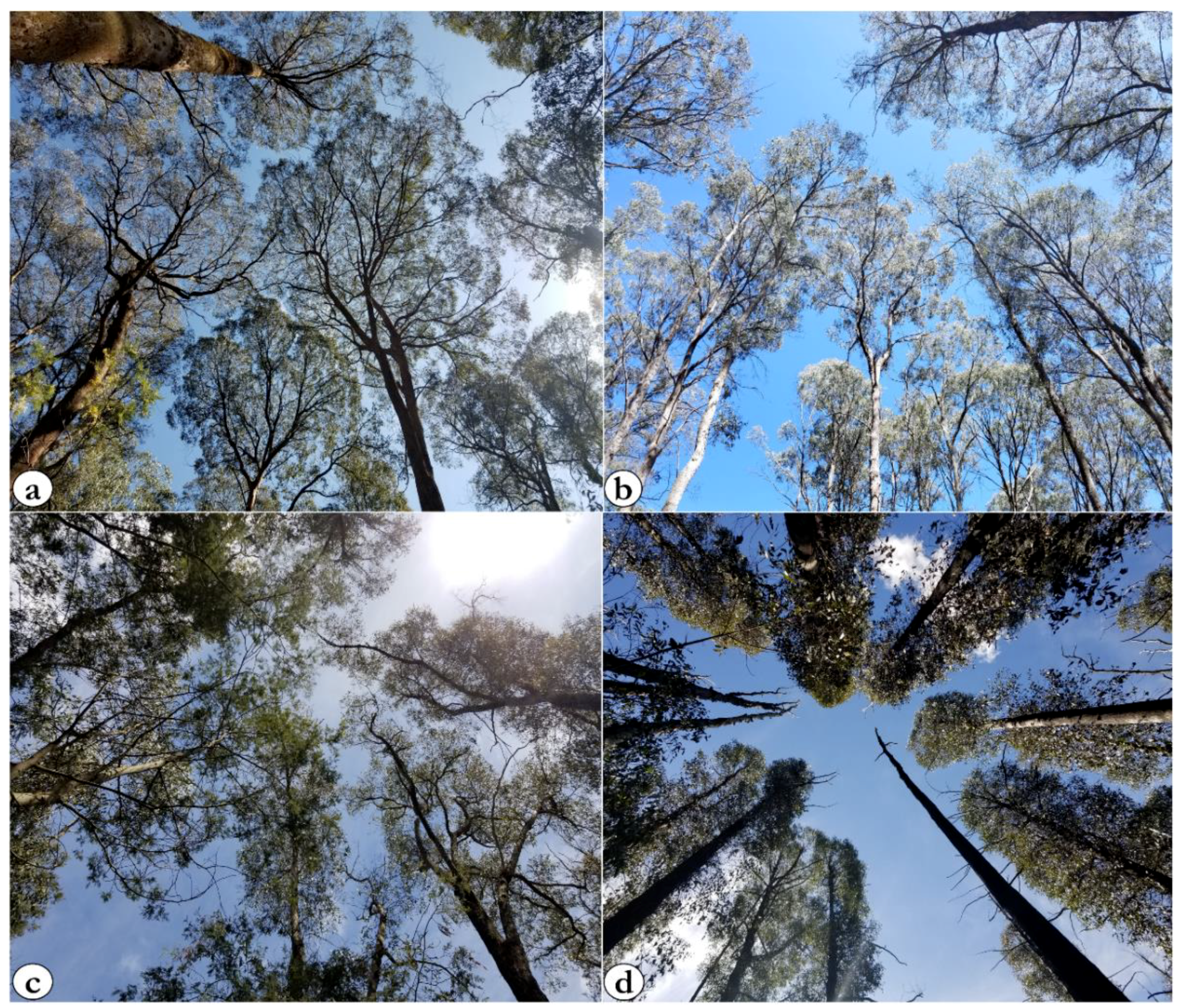 Remotesensing 11 02433 g003