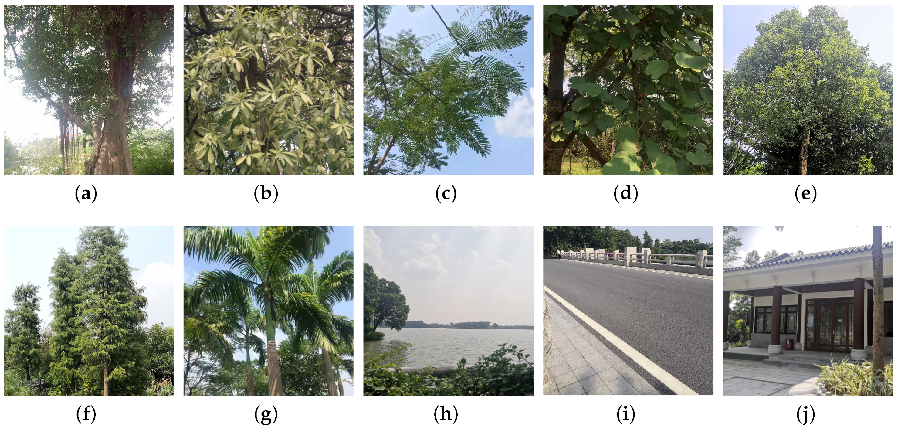 Remotesensing 11 02455 g007