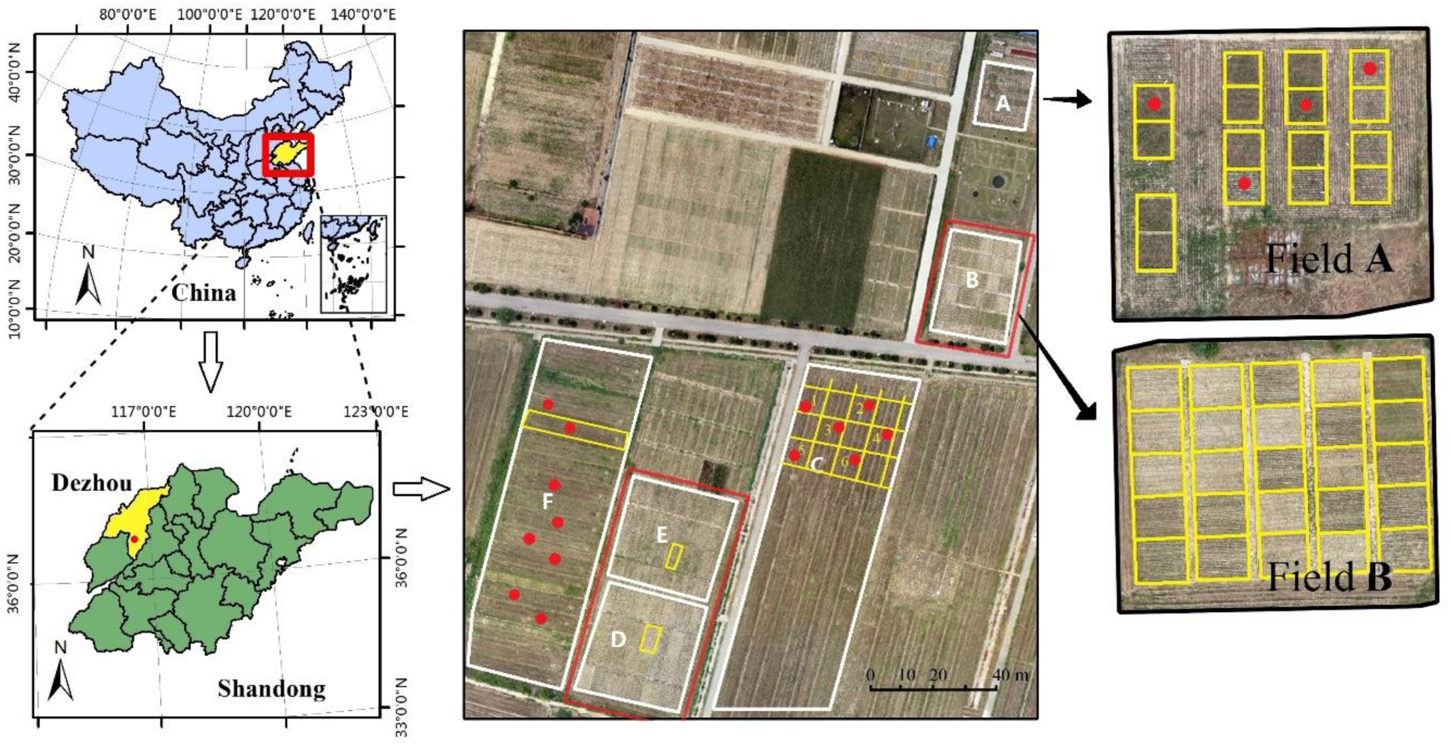 Remotesensing 11 02456 g001 Remotesensing 11 02456 g001