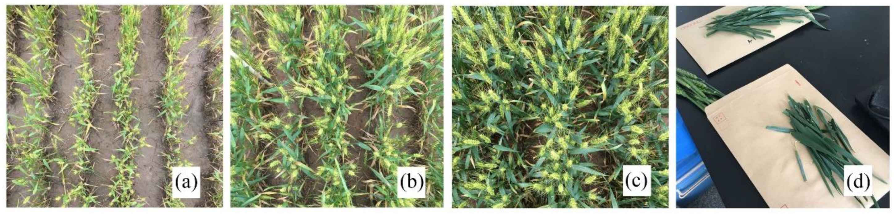 Remotesensing 11 02456 g002 Remotesensing 11 02456 g002