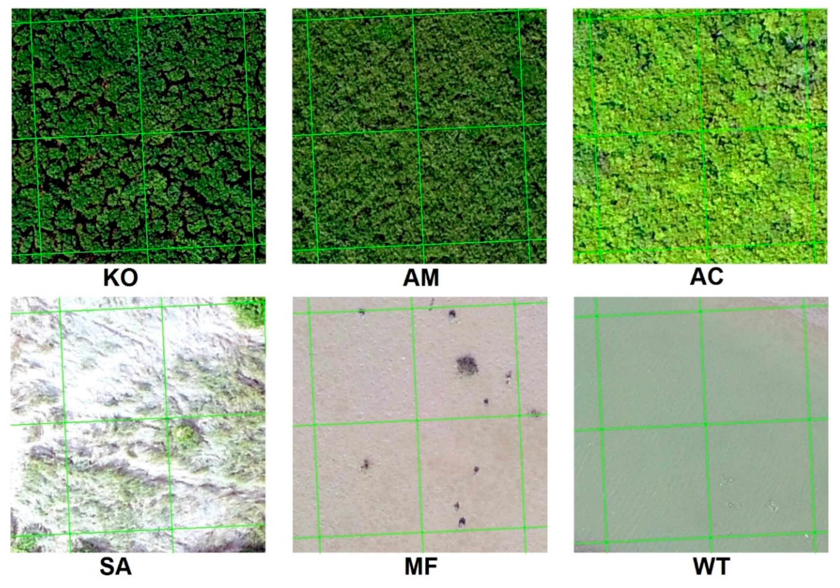 Remotesensing 11 02479 g004 Remotesensing 11 02479 g004