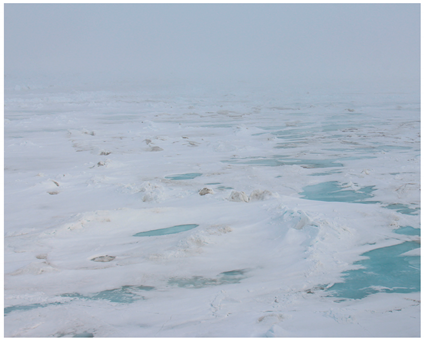 Remotesensing 11 02481 i003 Remotesensing 11 02481 i003