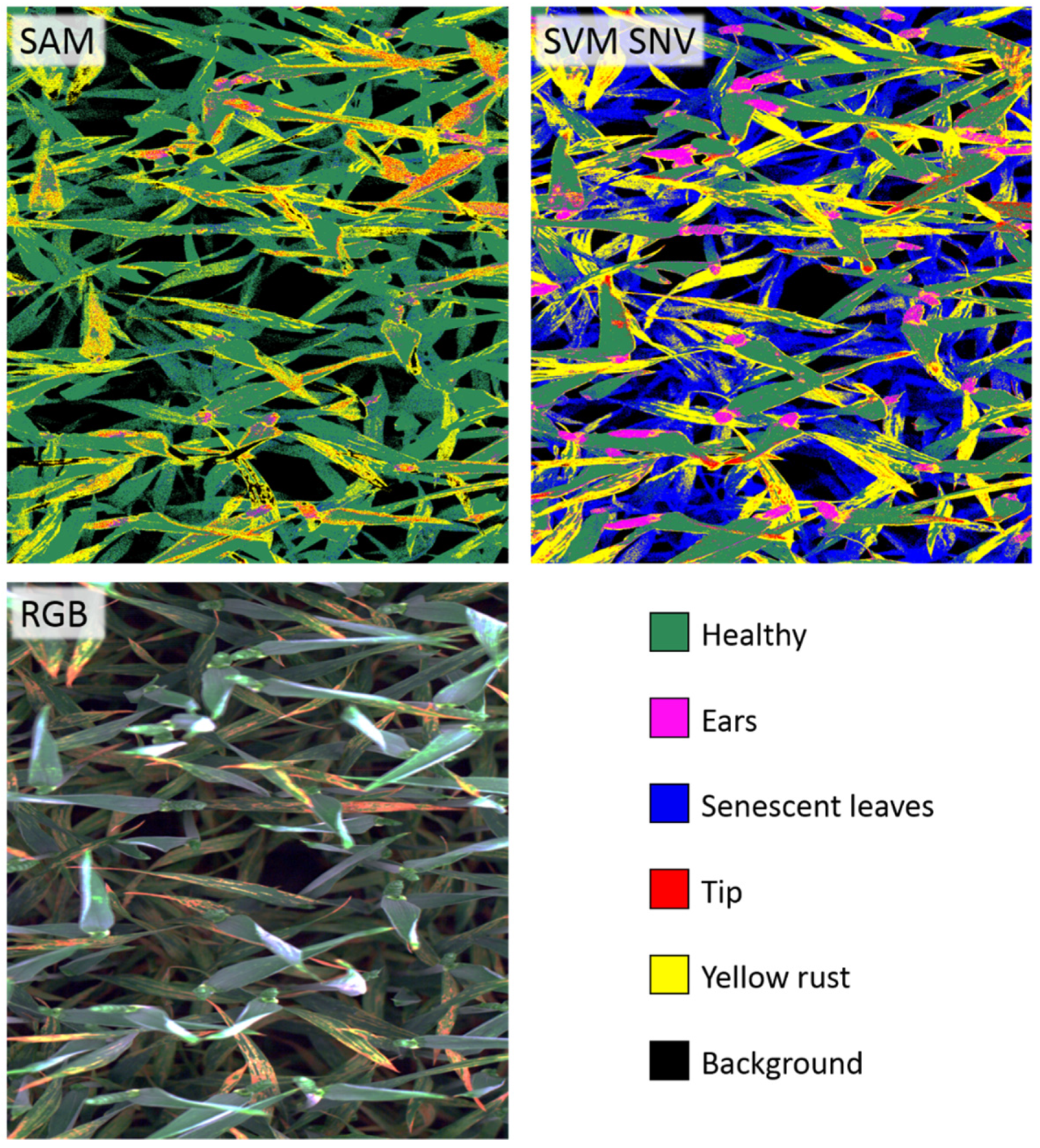 Remotesensing 11 02495 g005 Remotesensing 11 02495 g005