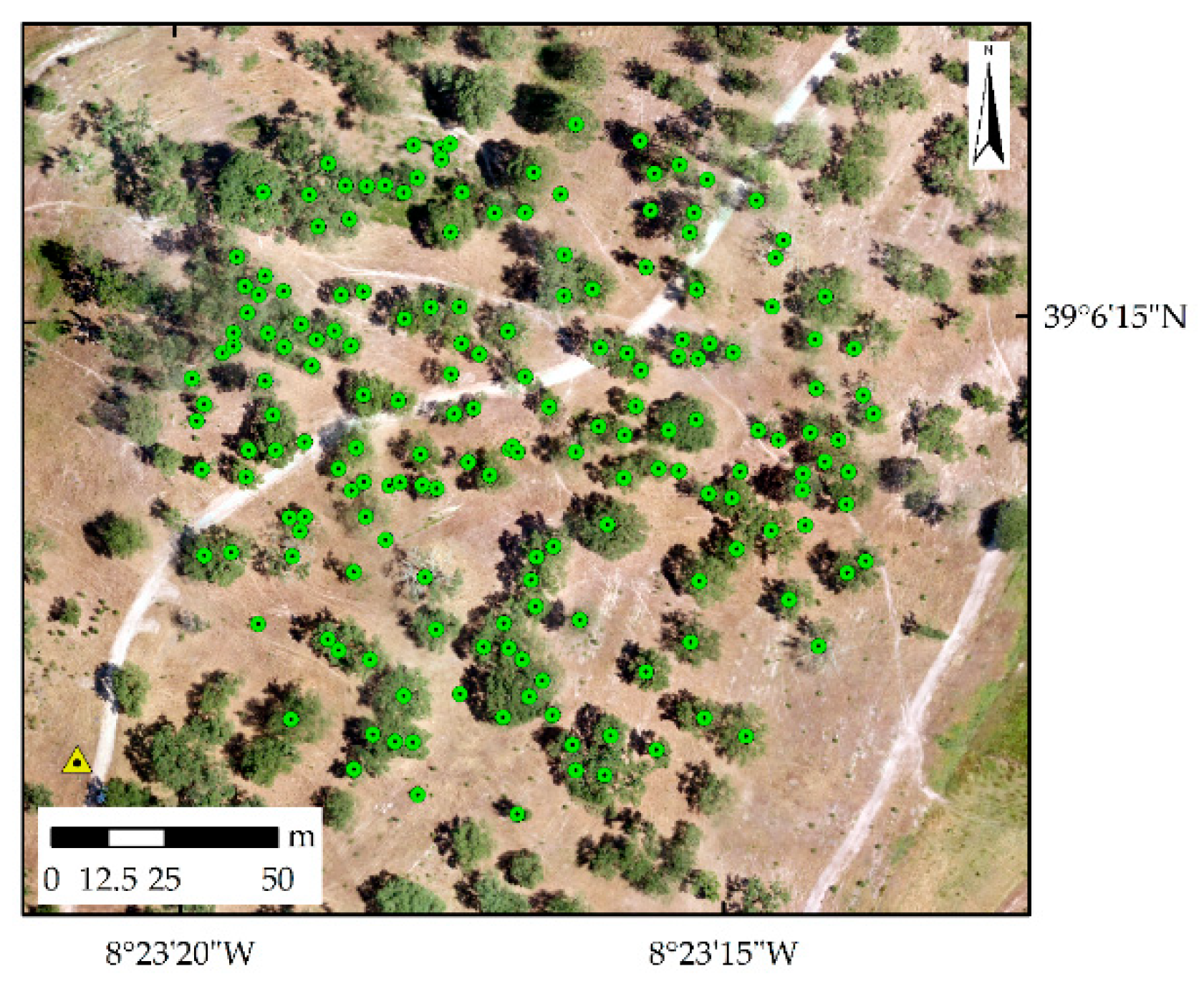 Remotesensing 11 02515 g002 550