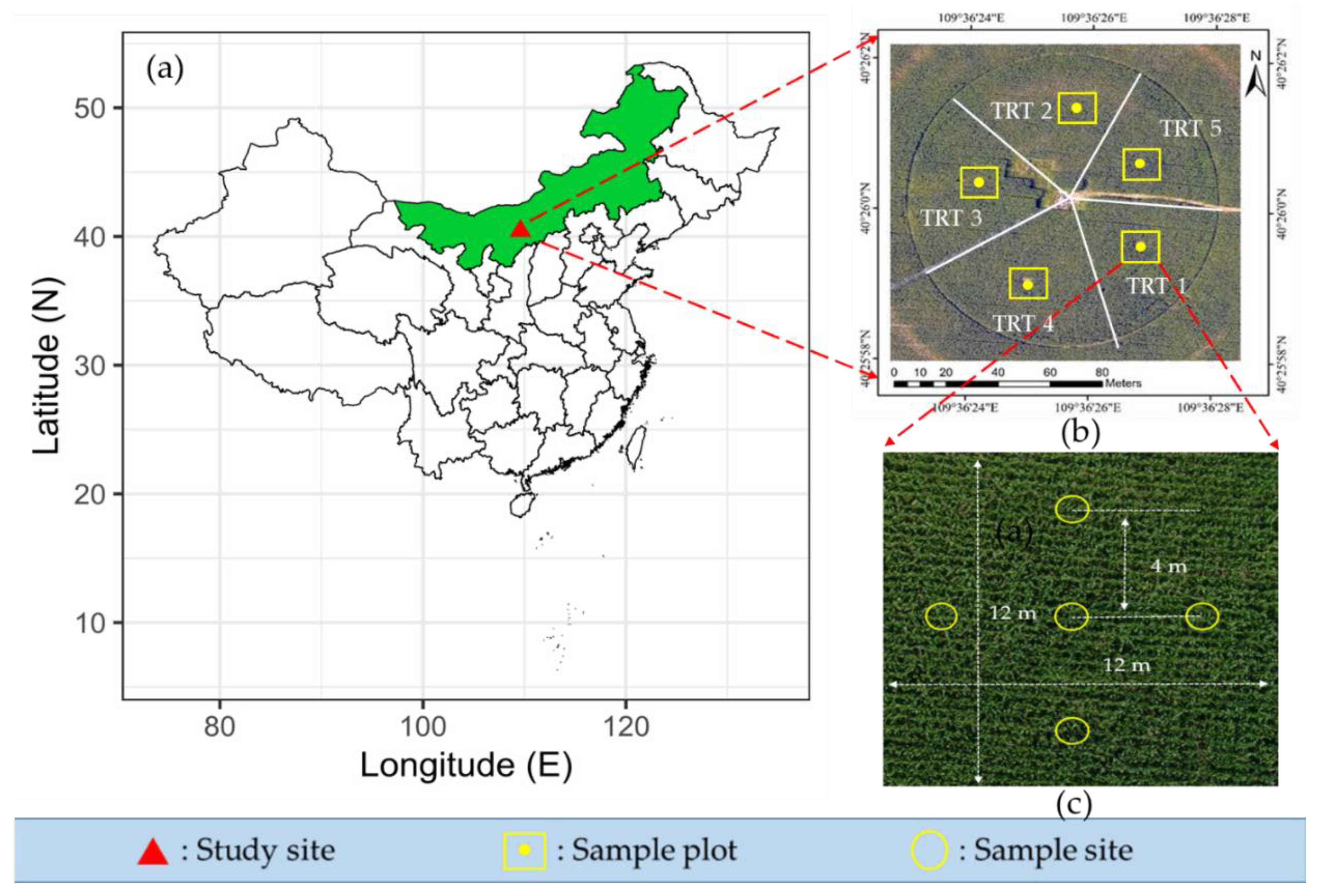 Remotesensing 11 02519 g001
