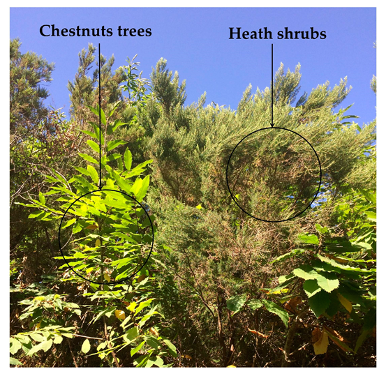 Remotesensing 11 02560 g002 Remotesensing 11 02560 g002