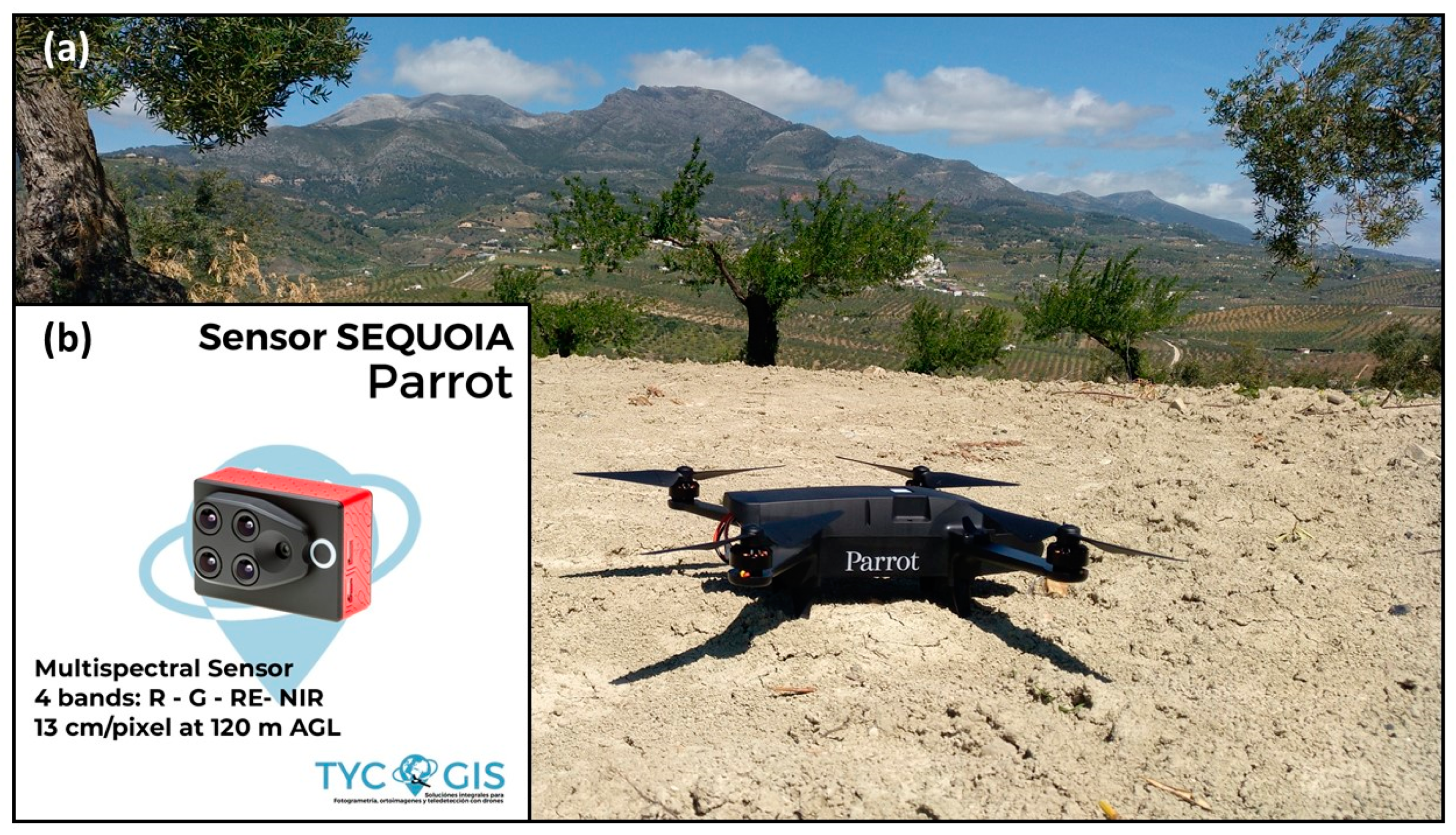 Remotesensing 11 02564 g003