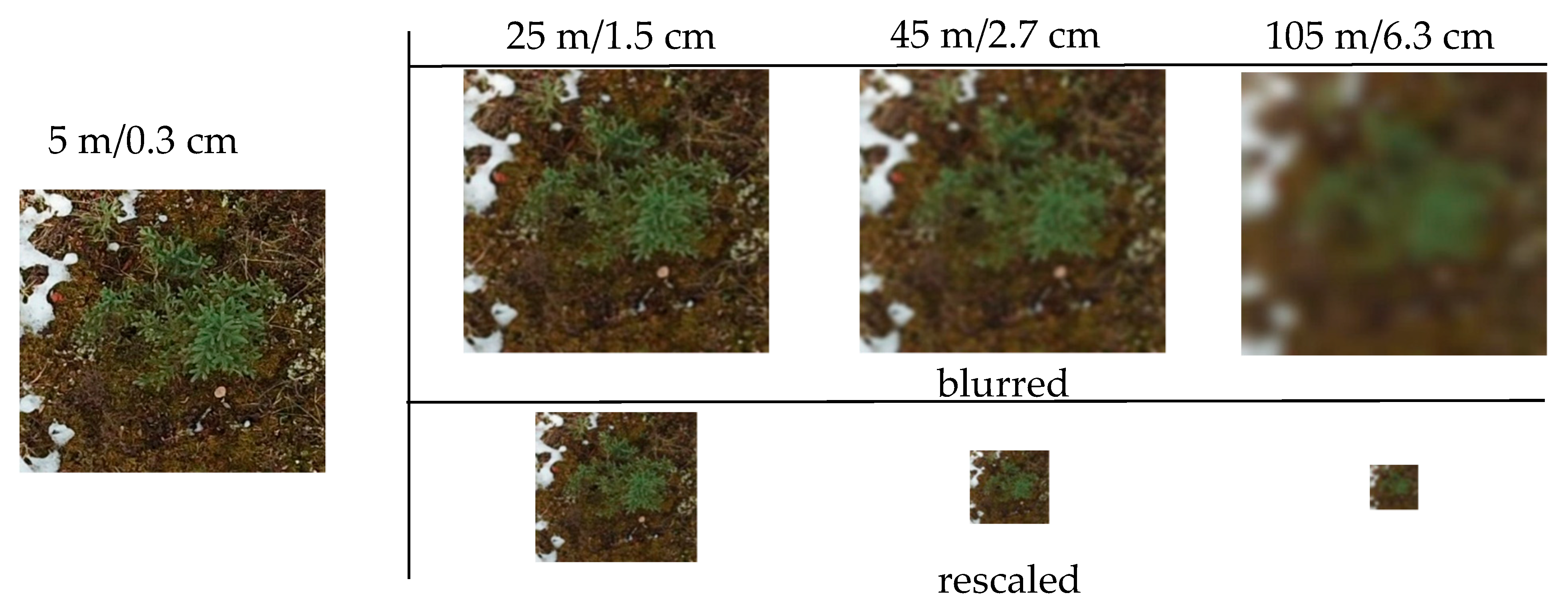Remotesensing 11 02585 g002