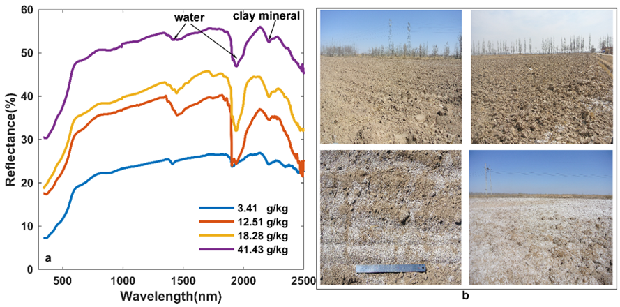 Remotesensing 11 02605 g002