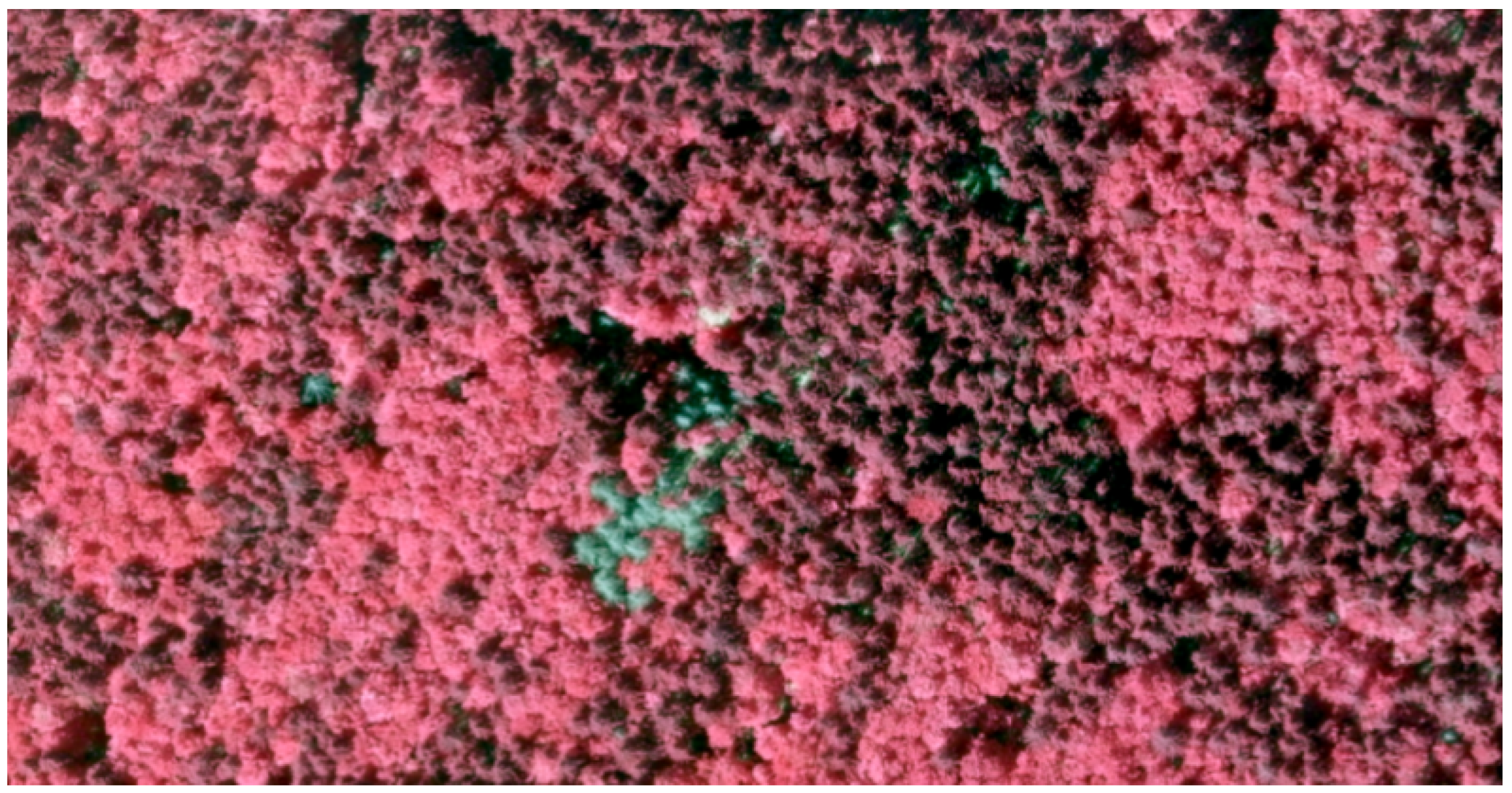 Remotesensing 11 02614 g002