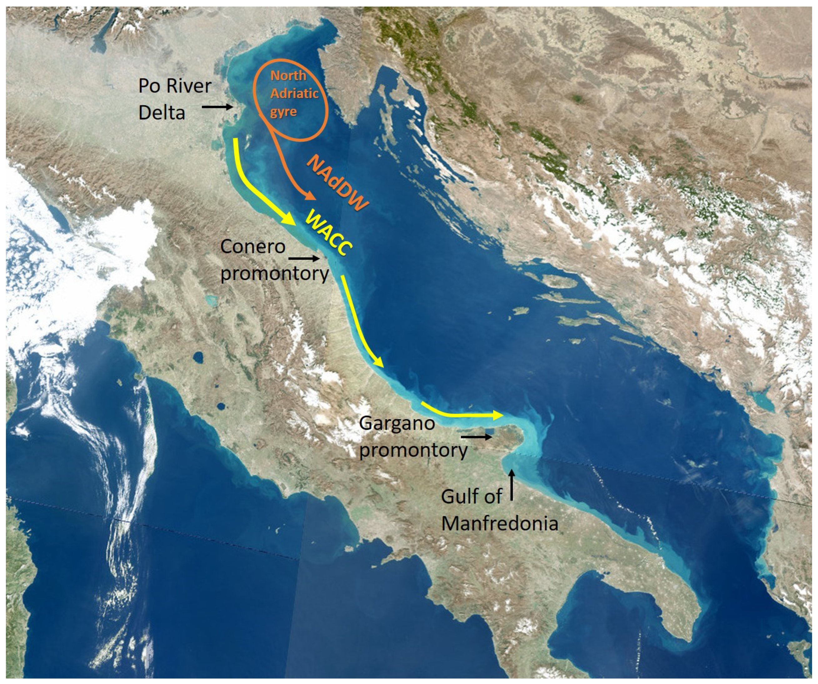 Remotesensing 11 02636 g001 Remotesensing 11 02636 g001