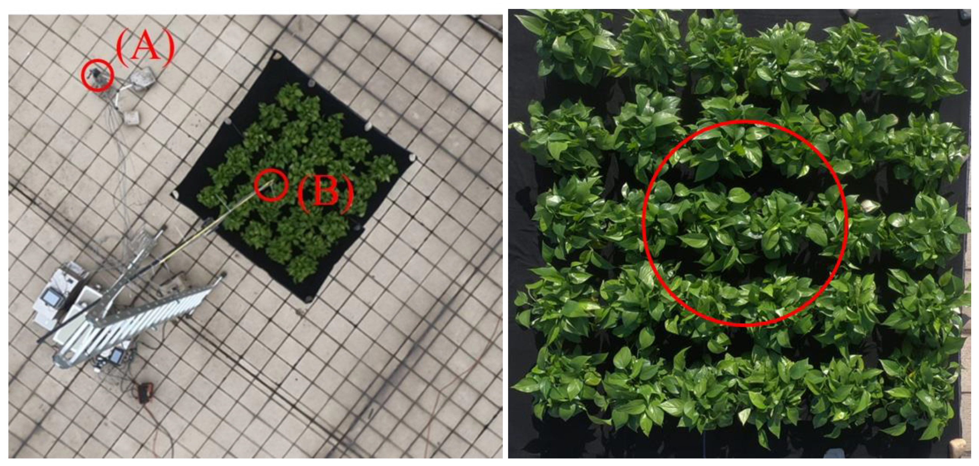 Remotesensing 11 02642 g002 Remotesensing 11 02642 g002