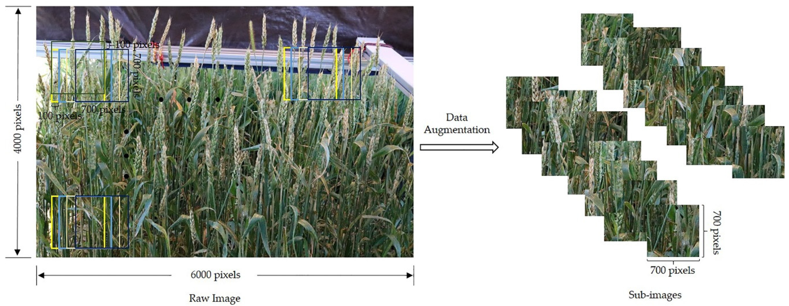 Remotesensing 11 02658 g003