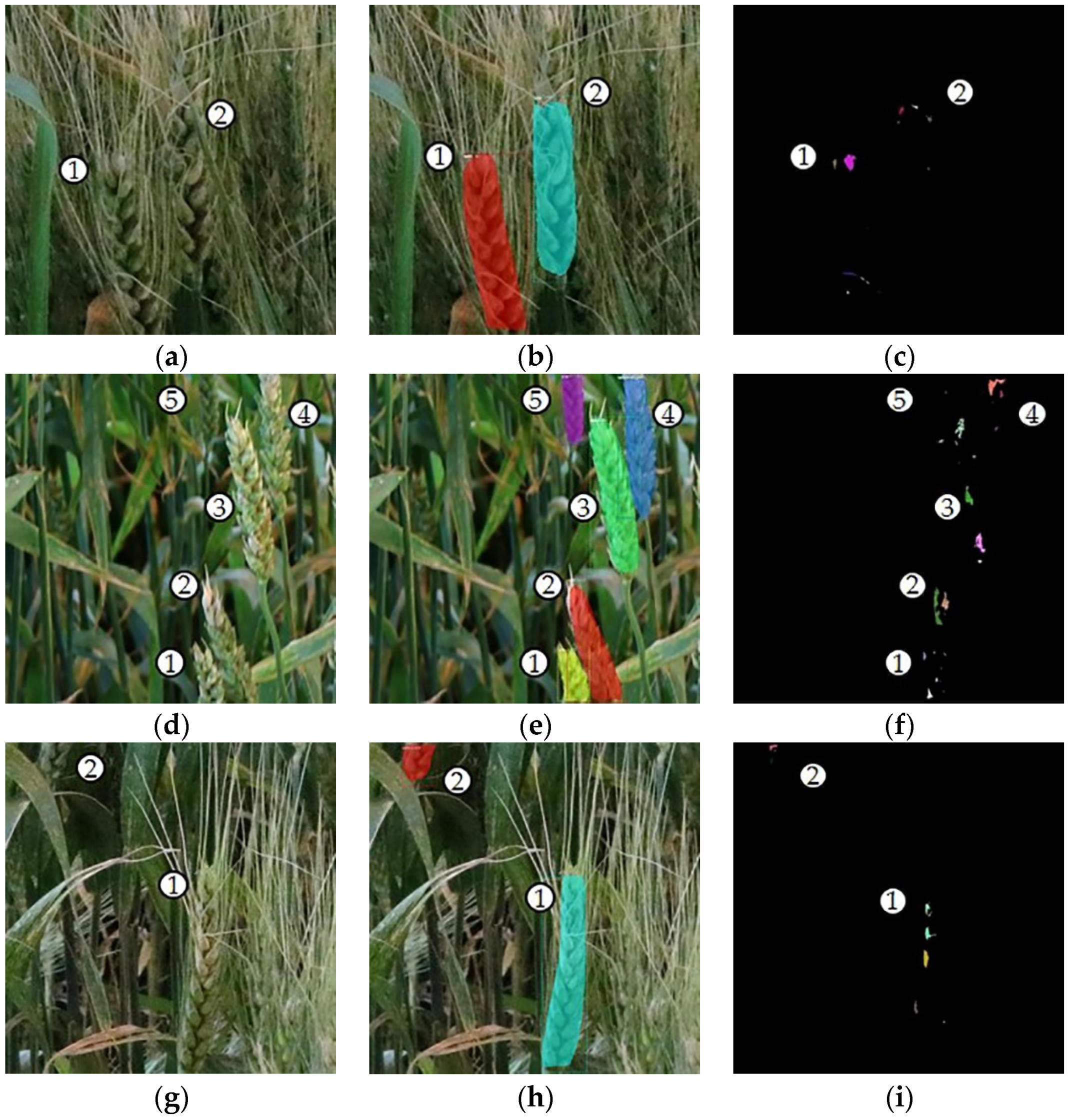 Remotesensing 11 02658 g012