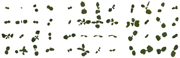 Remotesensing 11 02671 i002