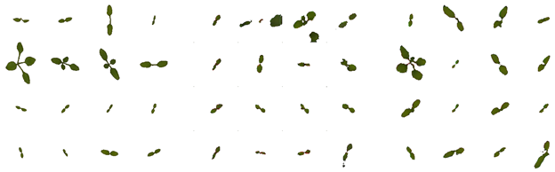 Remotesensing 11 02671 i003