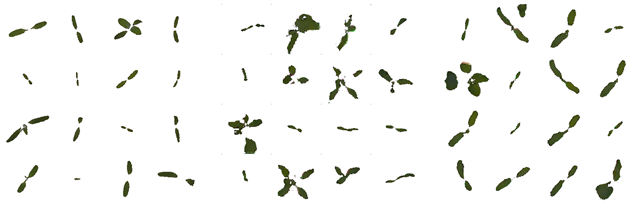 Remotesensing 11 02671 i004