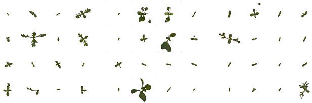 Remotesensing 11 02671 i006