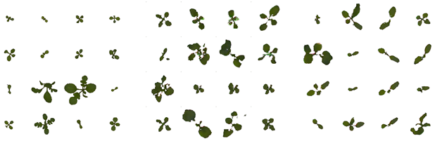 Remotesensing 11 02671 i007