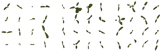 Remotesensing 11 02671 i009