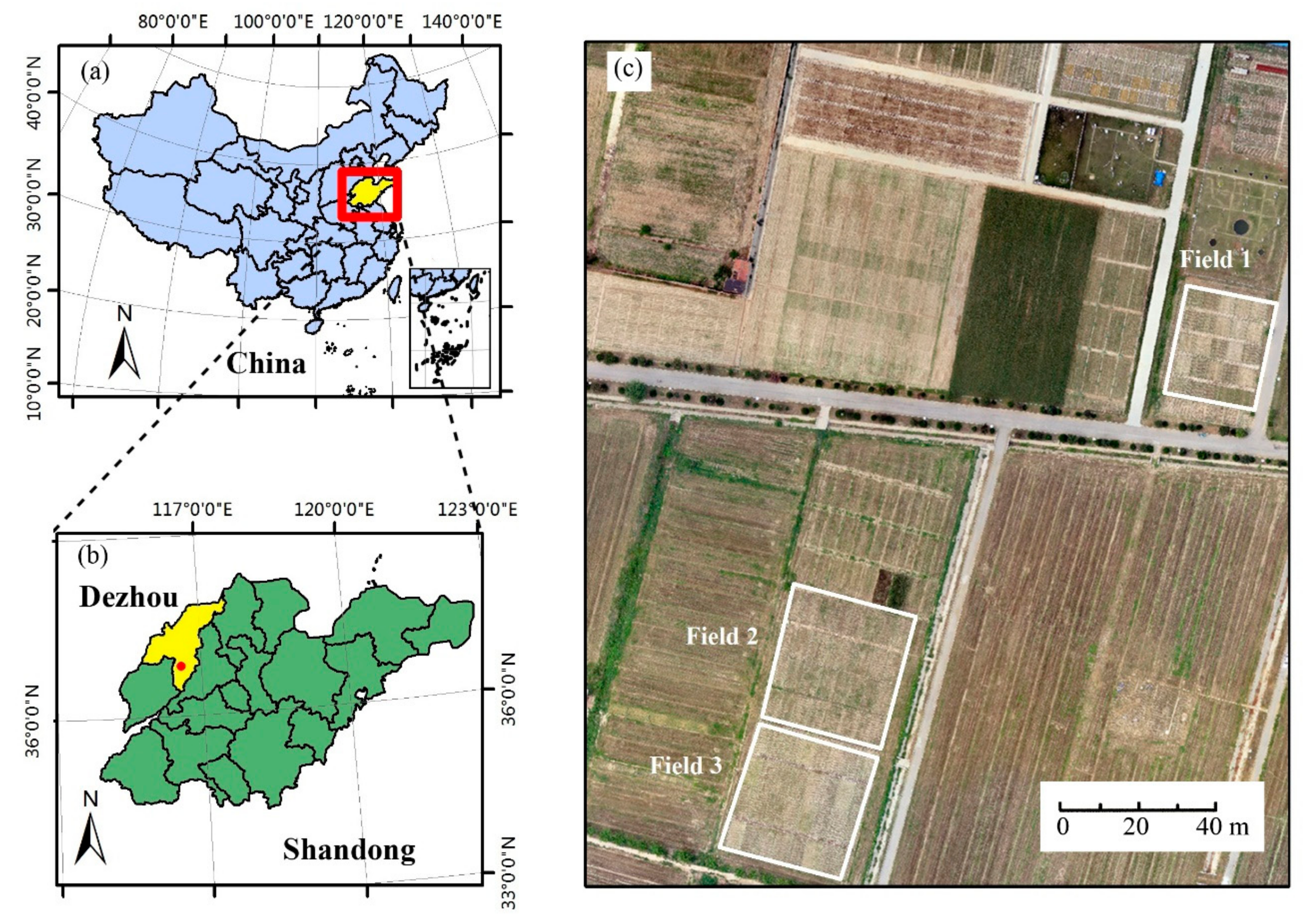 Remotesensing 11 02678 g001