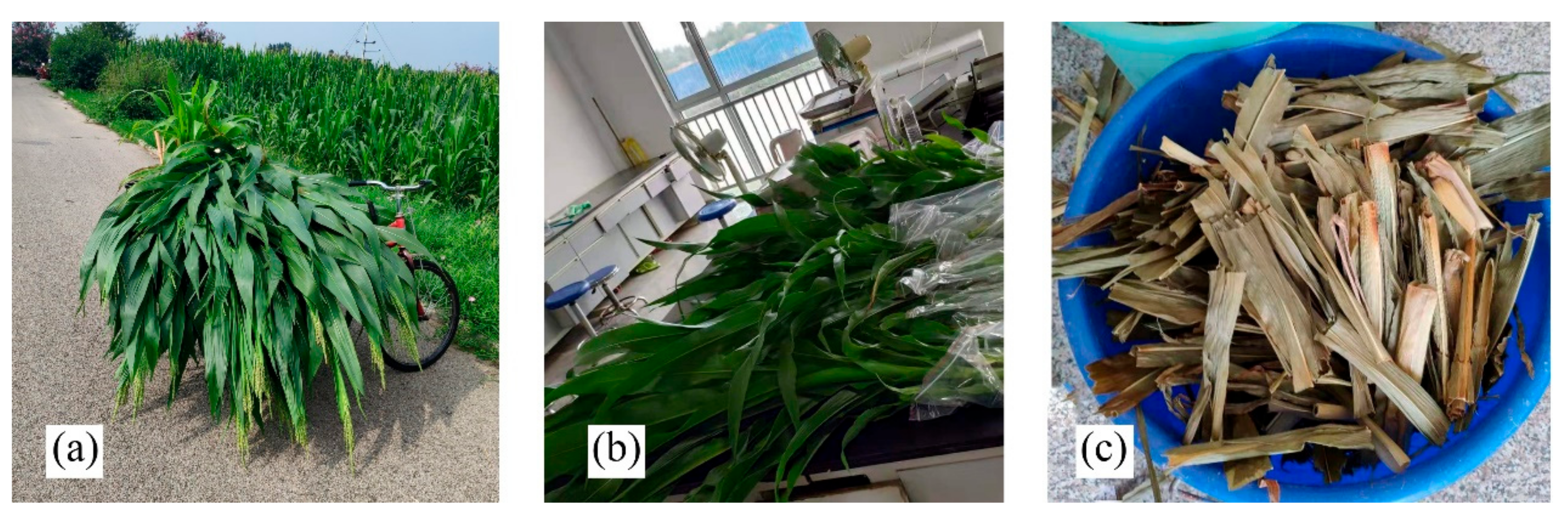 Remotesensing 11 02678 g002