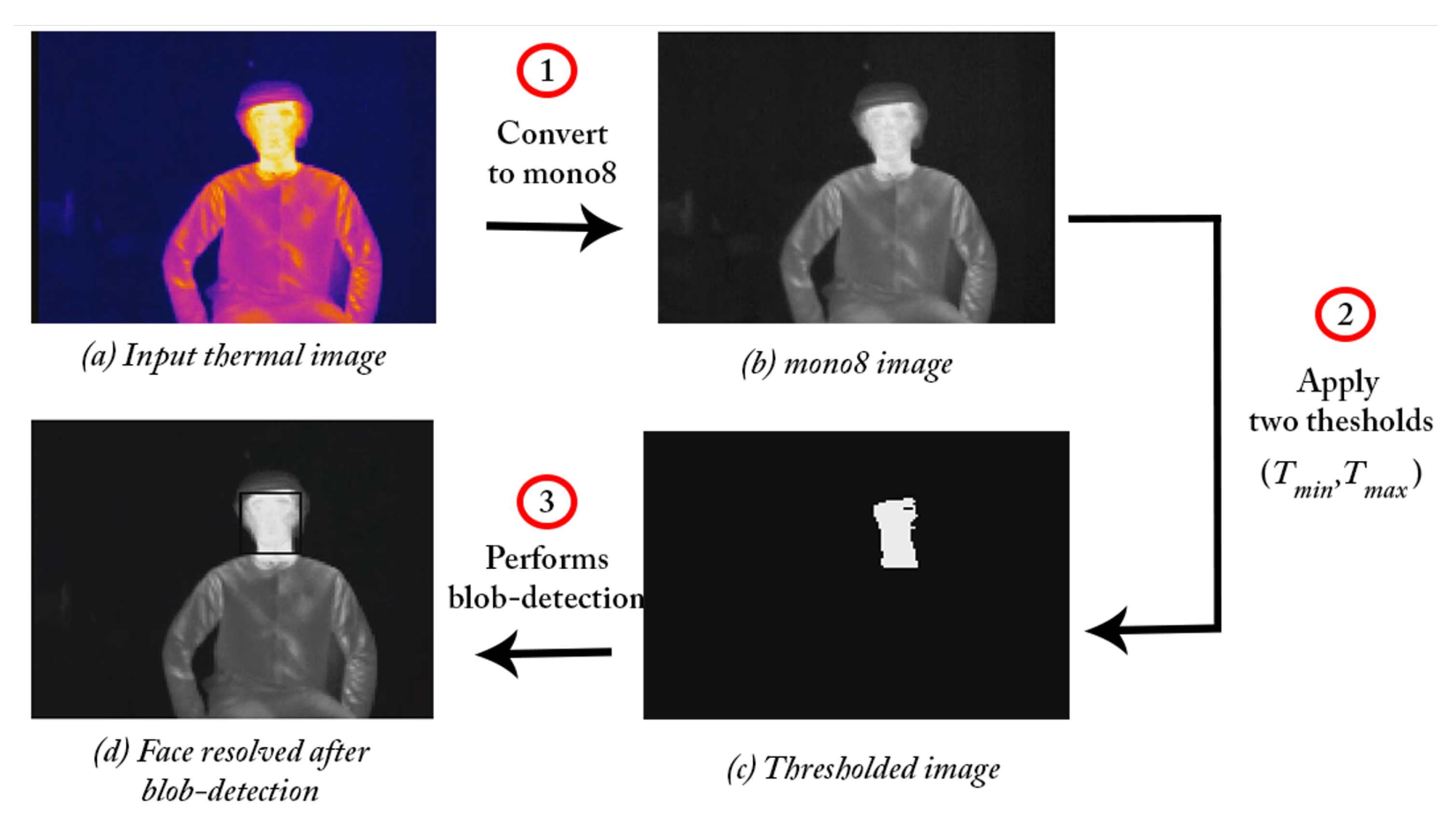 Remotesensing 11 02704 g004 Remotesensing 11 02704 g004