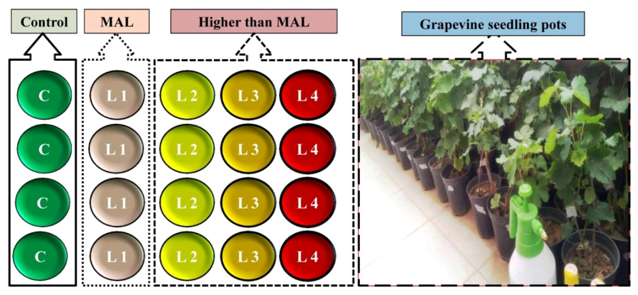 Remotesensing 11 02731 g001