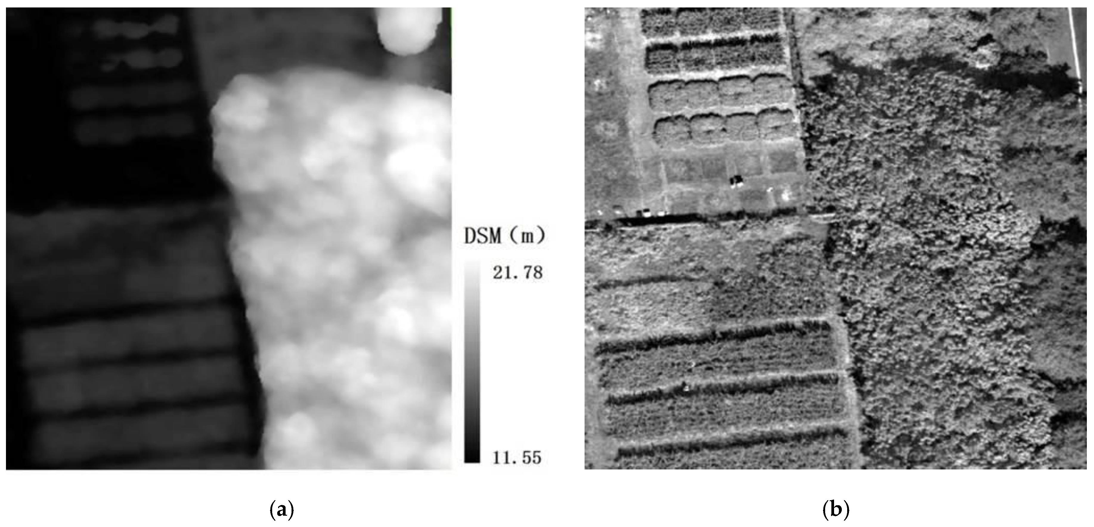 Remotesensing 11 02753 g004