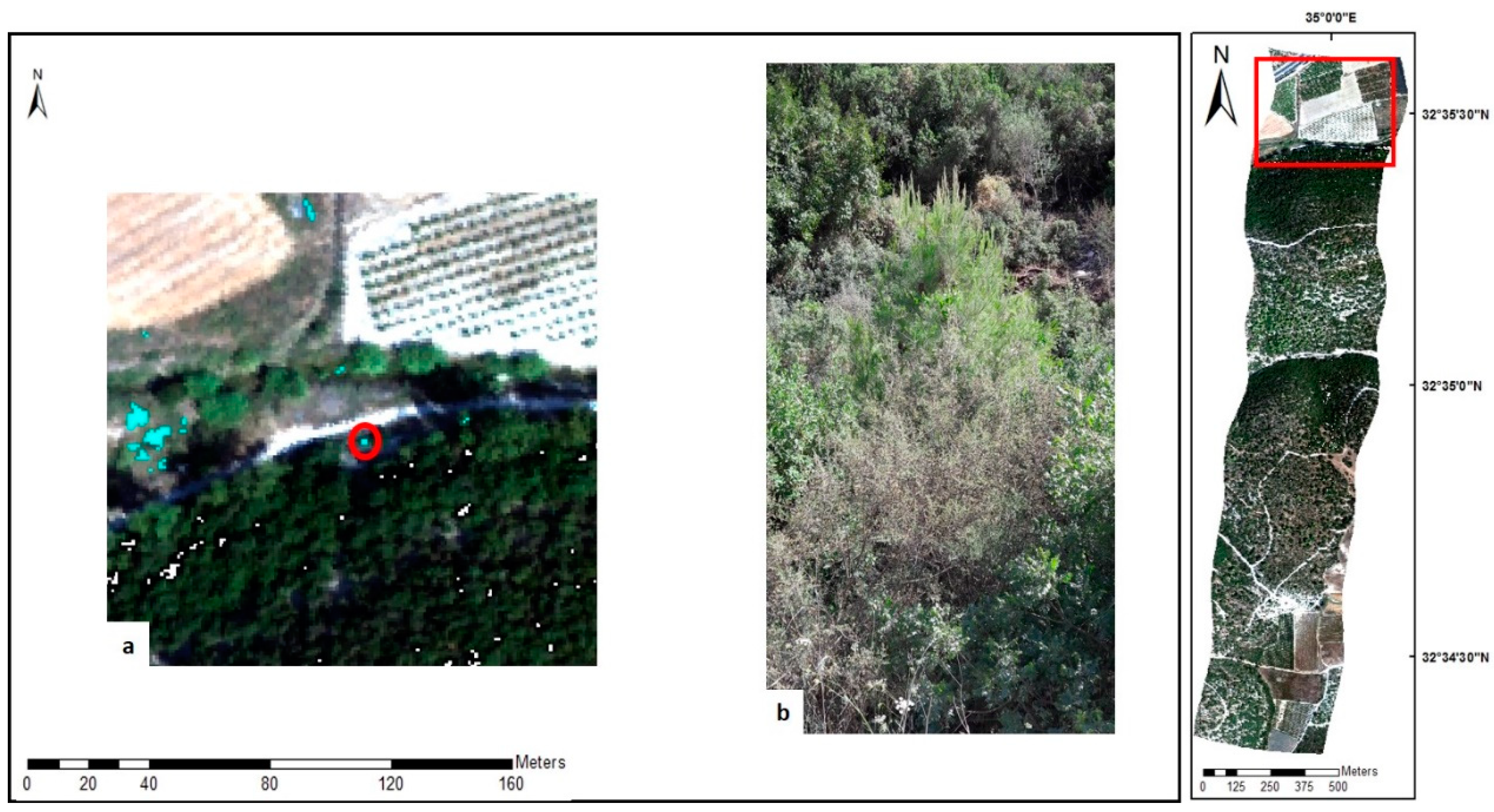 Remotesensing 11 02800 g009