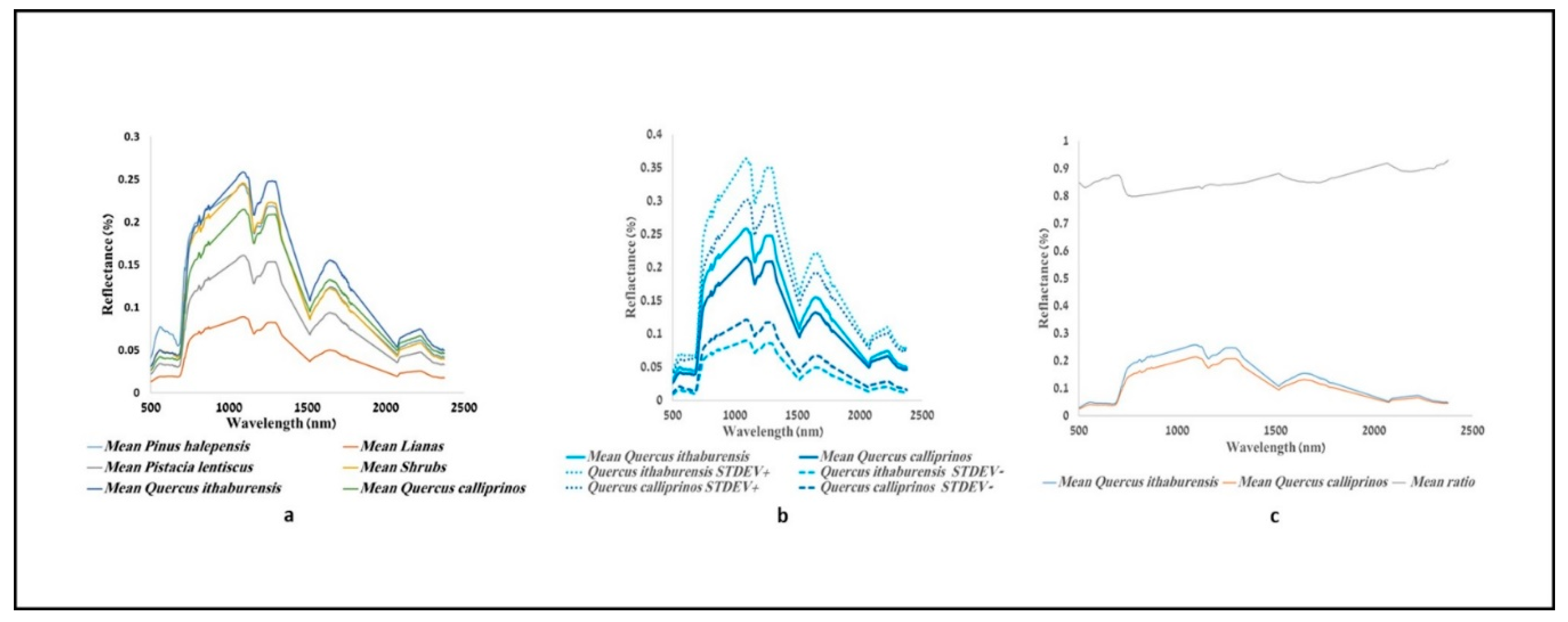 Remotesensing 11 02800 g011