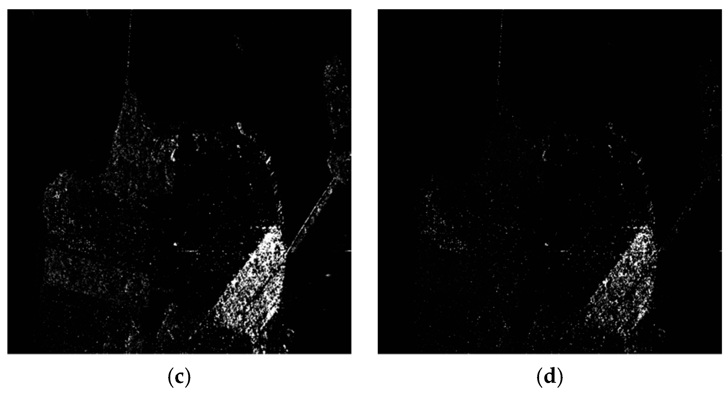 Remotesensing 11 02802 g009b 550