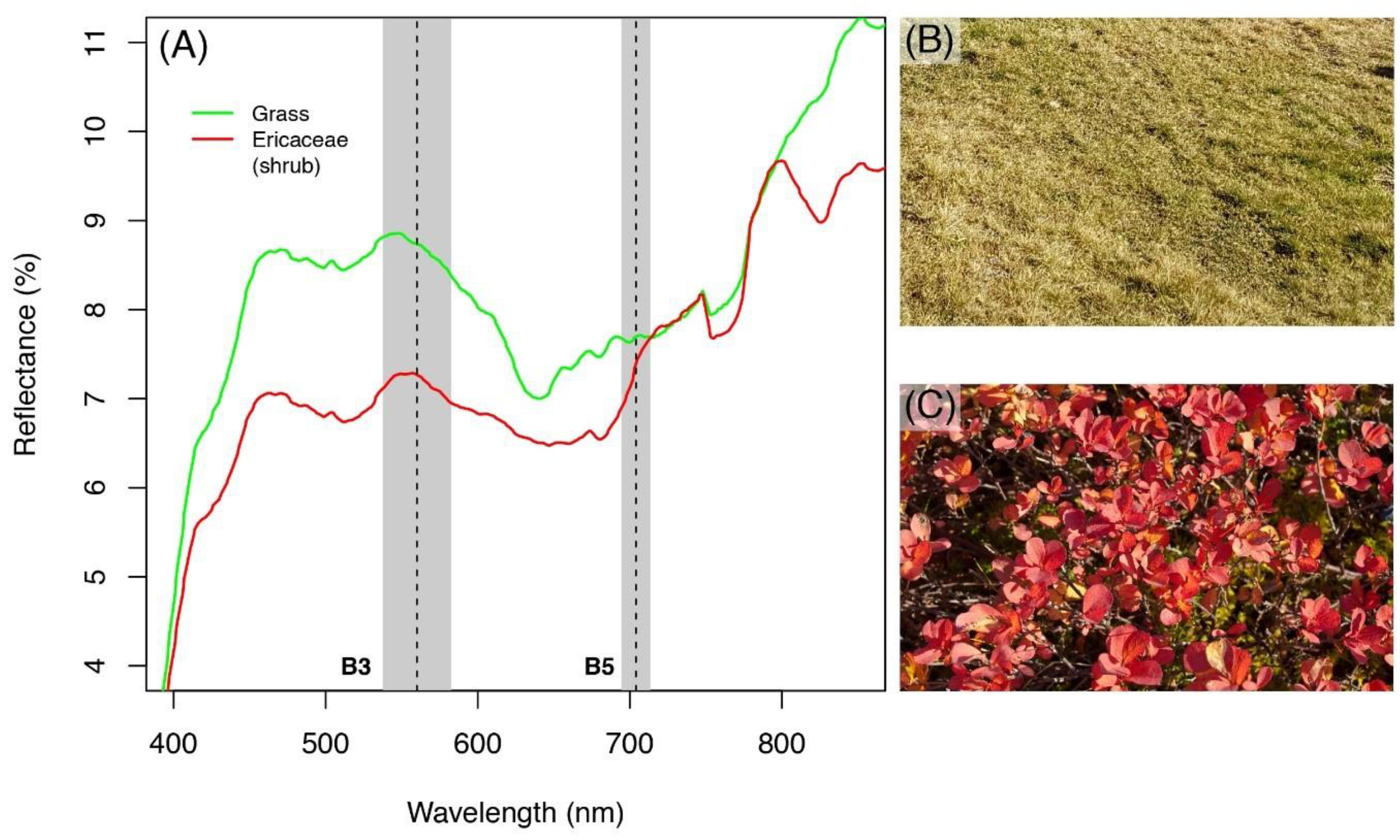 Remotesensing 11 02807 g002 Remotesensing 11 02807 g002