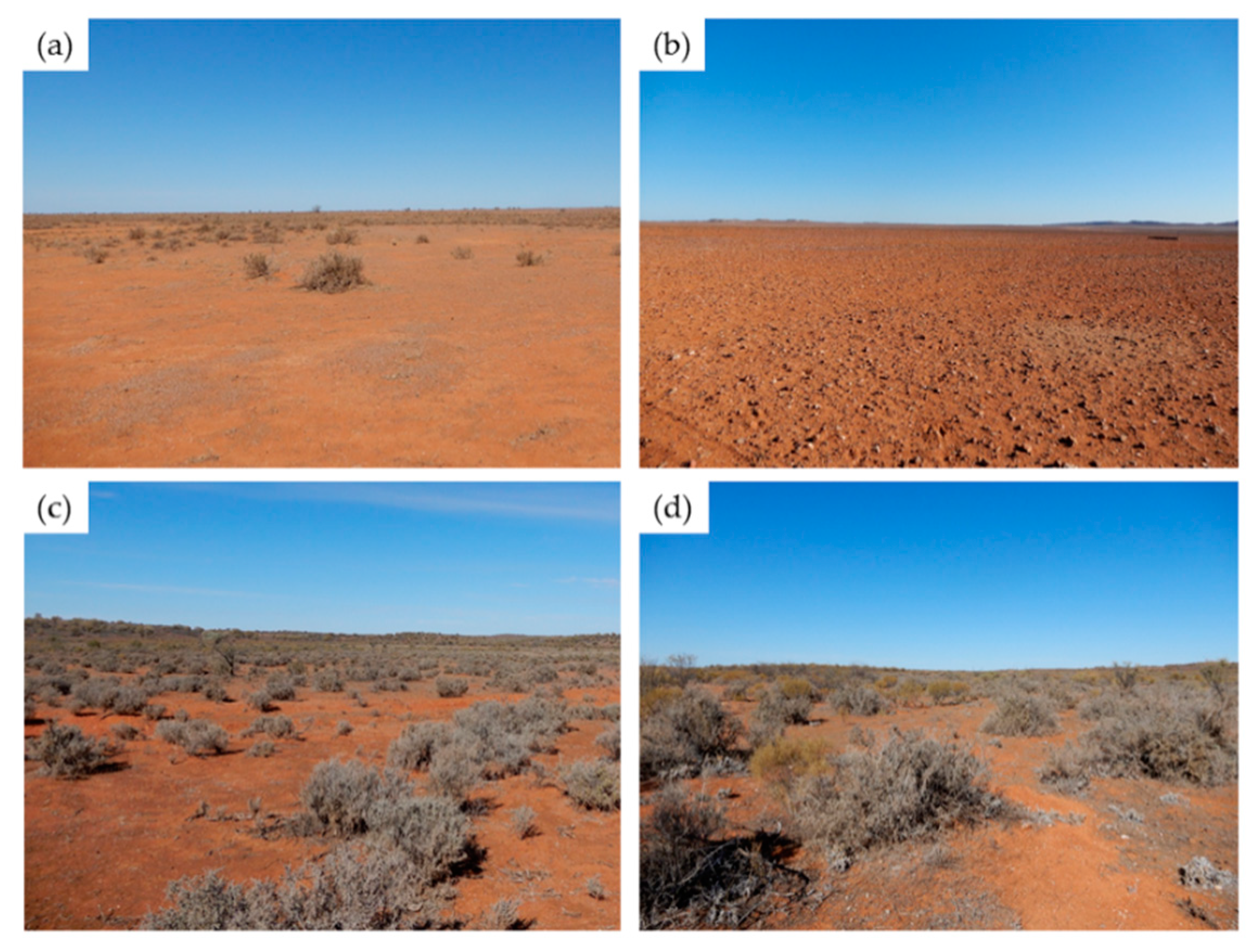 Remotesensing 11 02825 g003 550